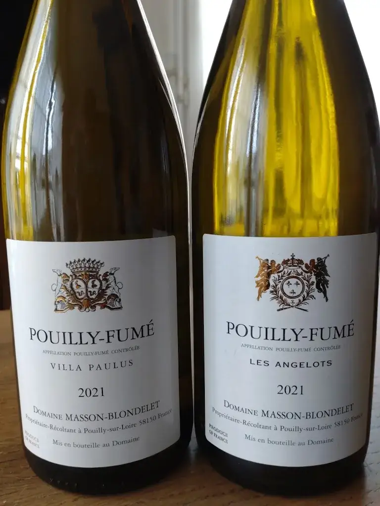 Fred Lacroix_Domaine Masson-Blondelet_Pouilly-sur-Loire_review