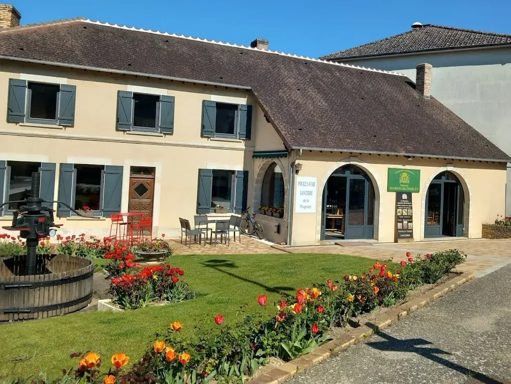 Domaine Masson-Blondelet restaurant in Pouilly-sur-Loire