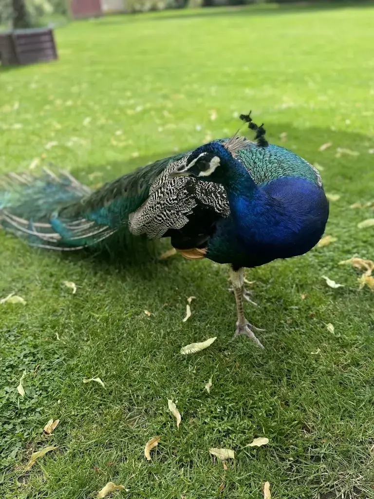 Stephen Heiner_Ferme des Barreaux_Herry_review