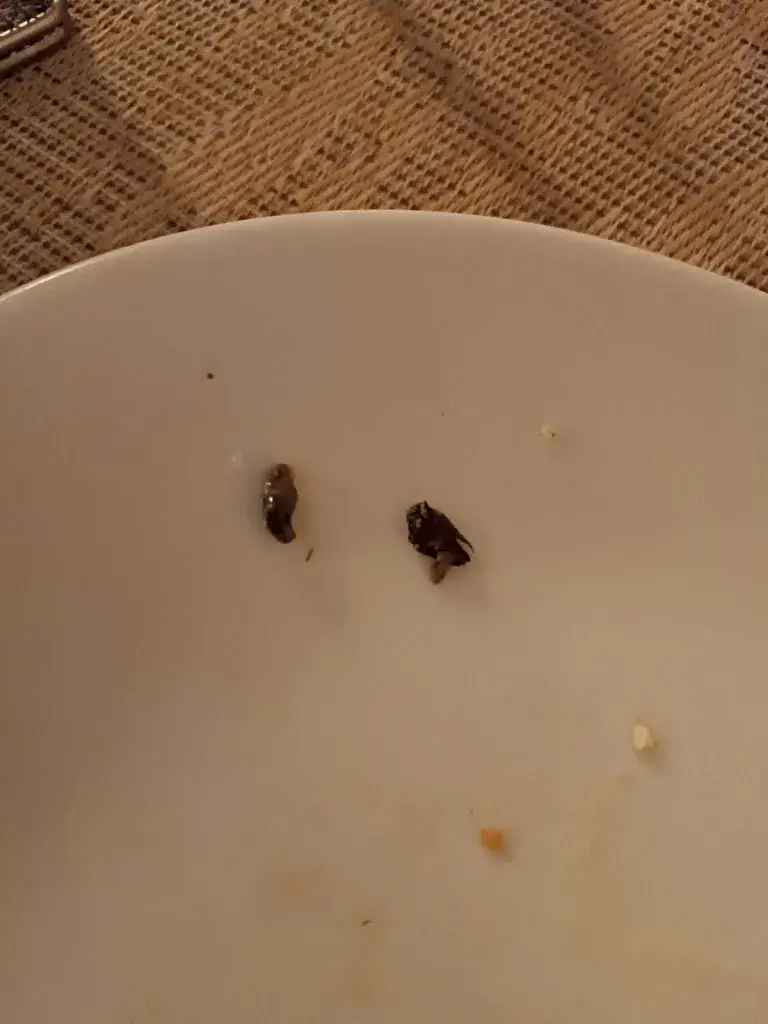 Severine CARDOT_Le Relais Campagnard_Ronchamp_review