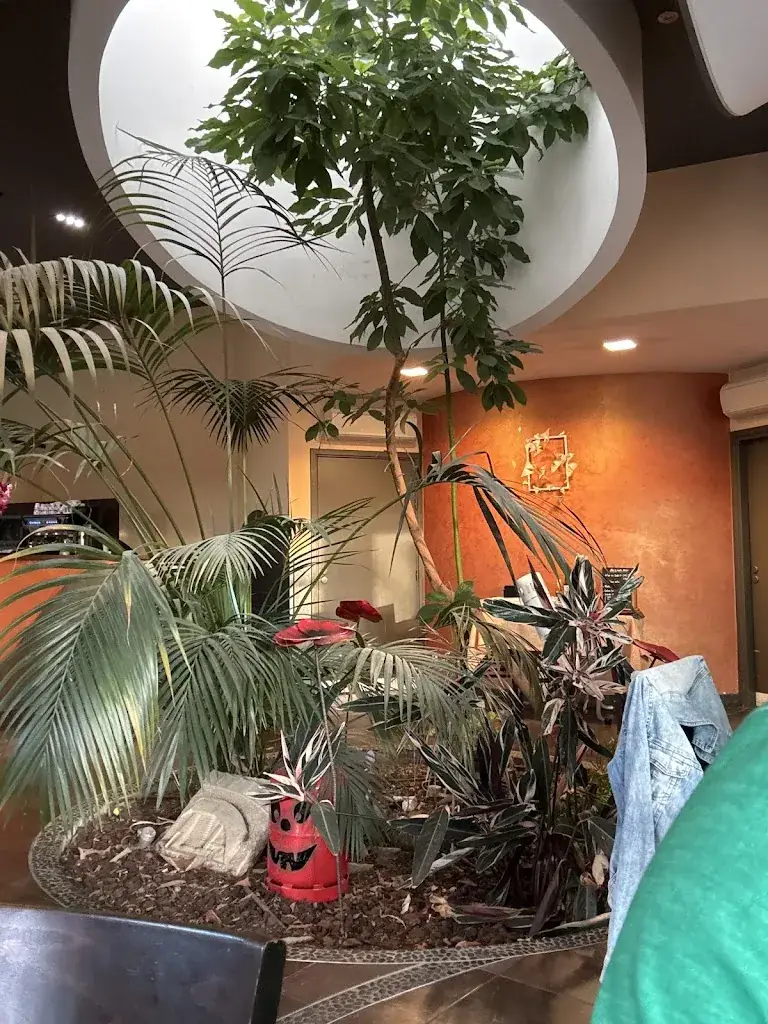 Pierre CAUT_Restaurant Marchal_Ronchamp_review