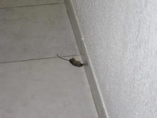 Magnus Karlsen_Hôtel & Résidence Avermes_Avermes_review