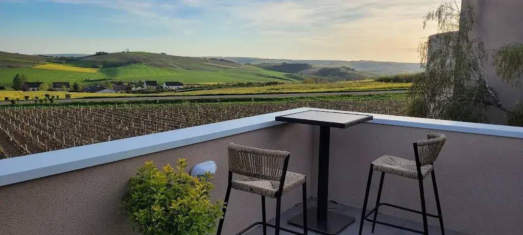 Johan Smith_Restaurant Le Belle Croix_Saint-Bris-le-Vineux_review