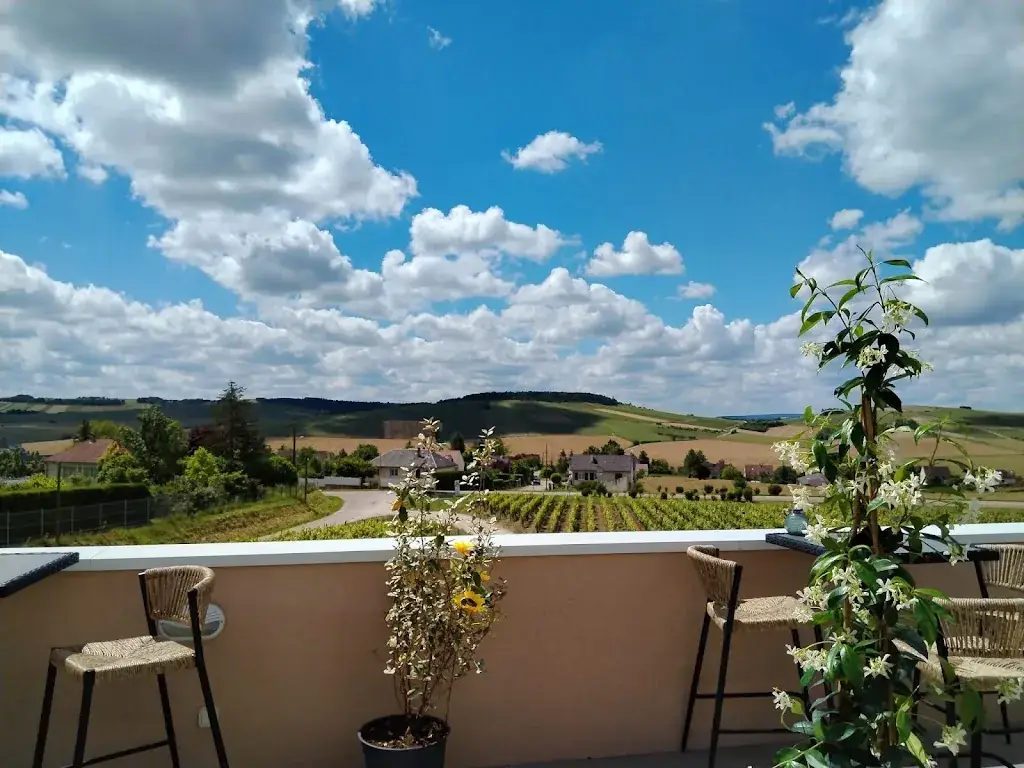 Restaurant Le Belle Croix_Saint-Bris-le-Vineux_slider_image_3