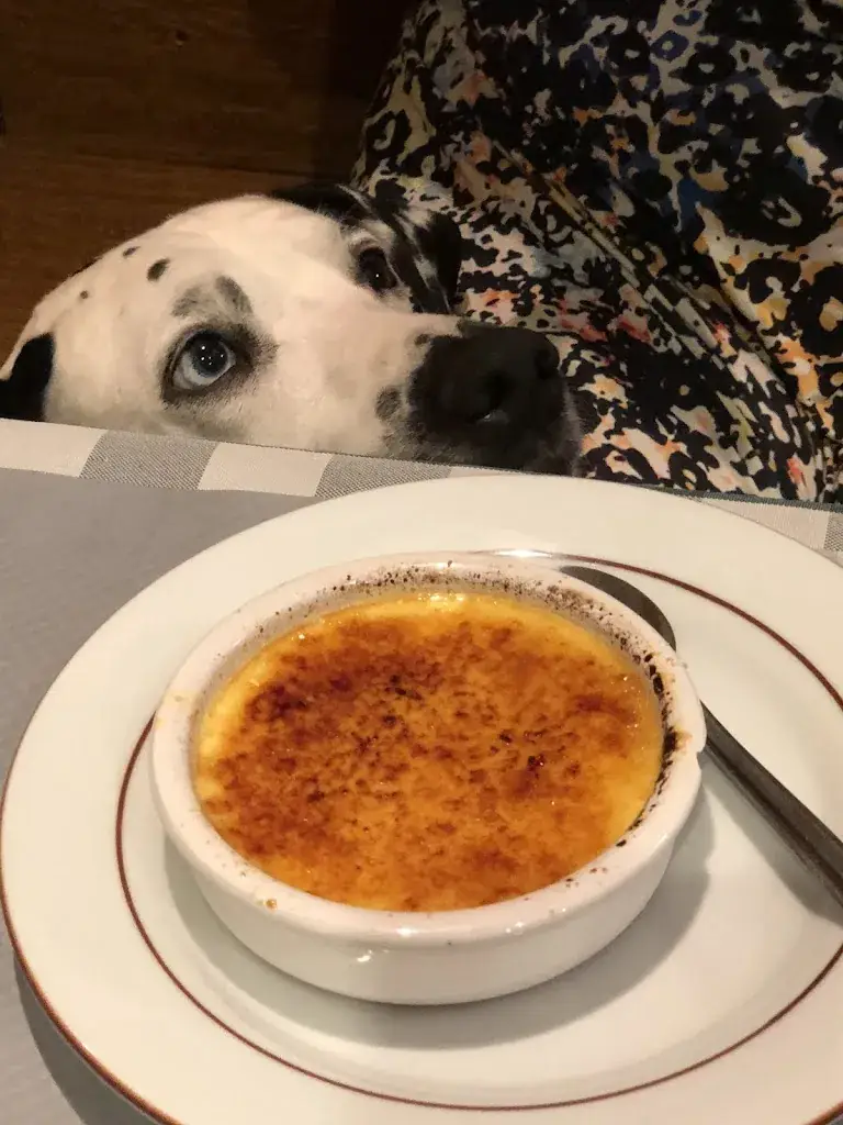 Priska Ladalmachienne_Aux Trois Bonheurs_Étueffont_review