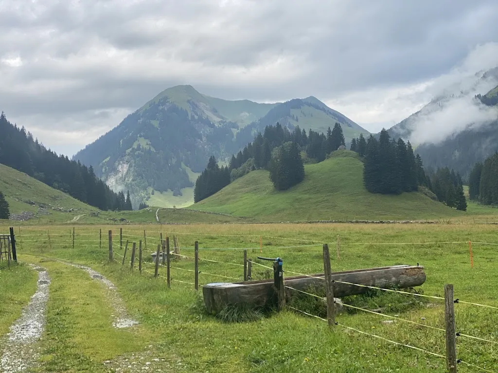 Alpage le Sori - buvette_Rougemont_slider_image_2