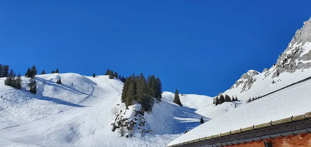 Buvette d’alpage_Rougemont_slider_image_3