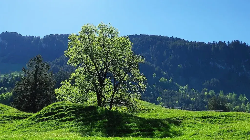 La Ferme du Biolley_Vuisternens-en-Ogoz_slider_image_2