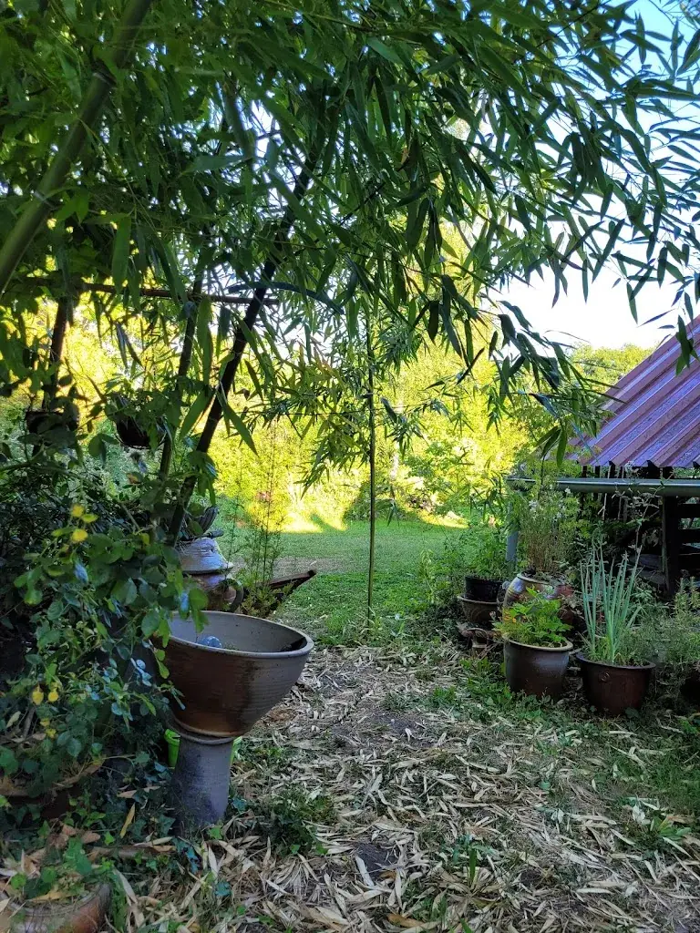 La Magie Des Sens Restaurant_Saint-Amand-en-Puisaye_slider_image_3