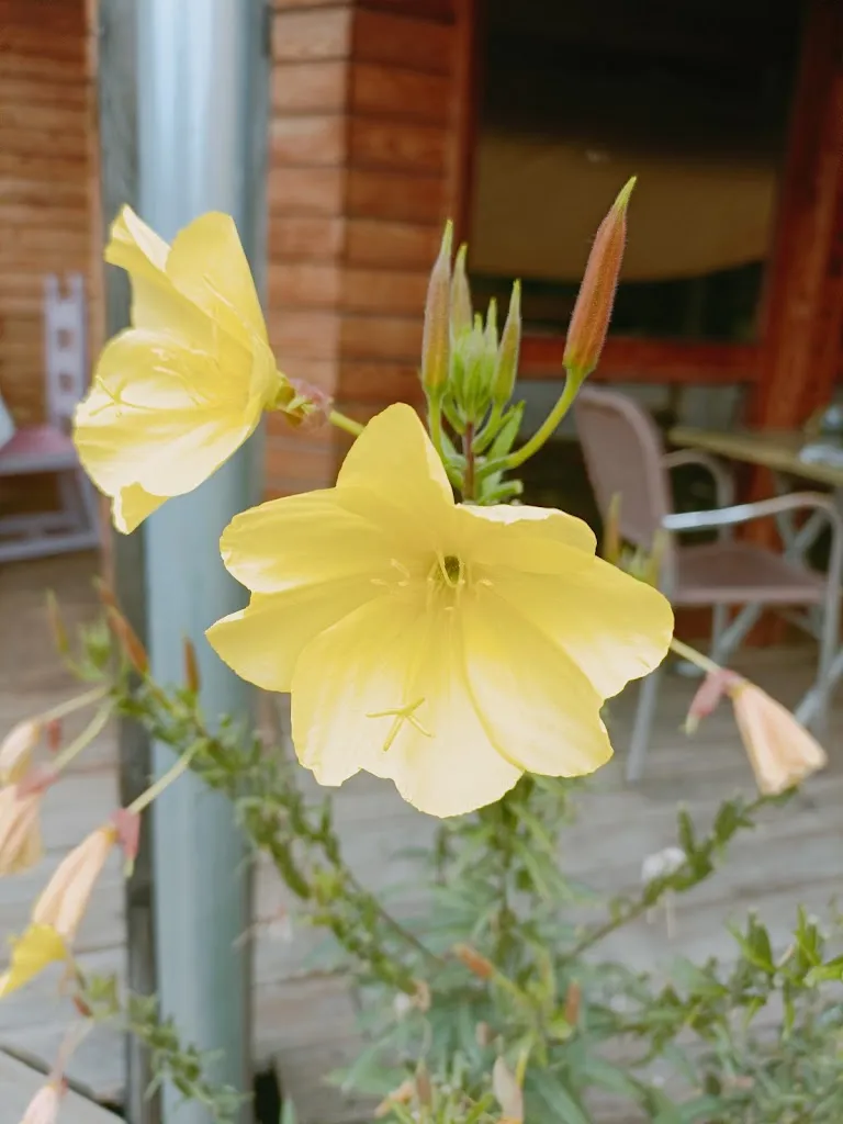 Marie-laure Reggio_Bistrot Saint André_Saint-Apollinaire_review