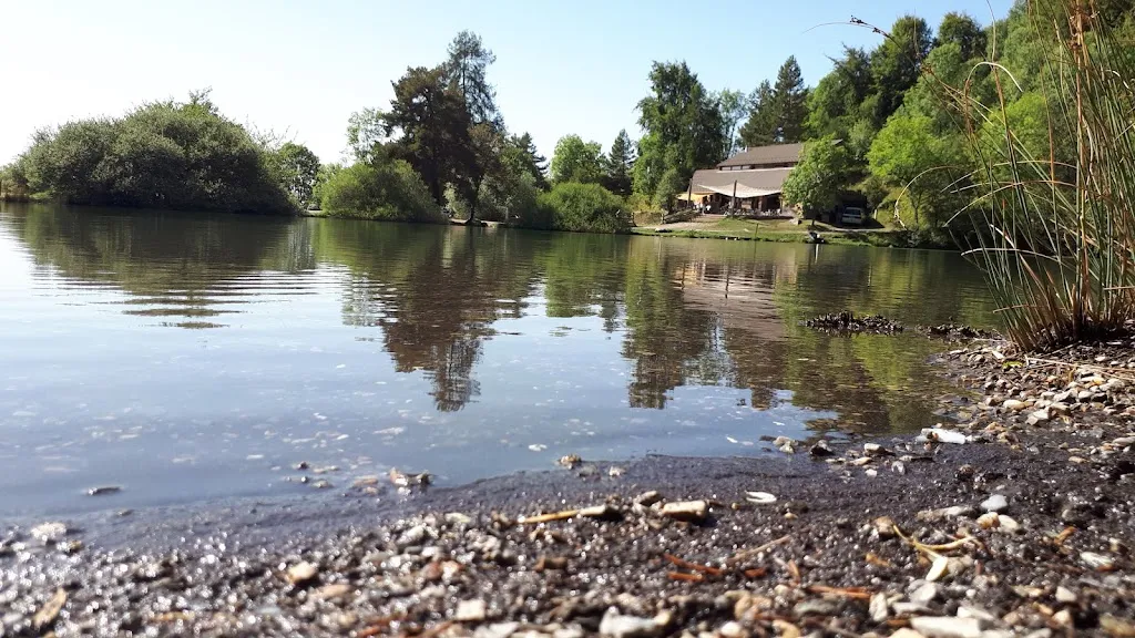 Bernard Boucher_Bistrot Saint André_Saint-Apollinaire_review