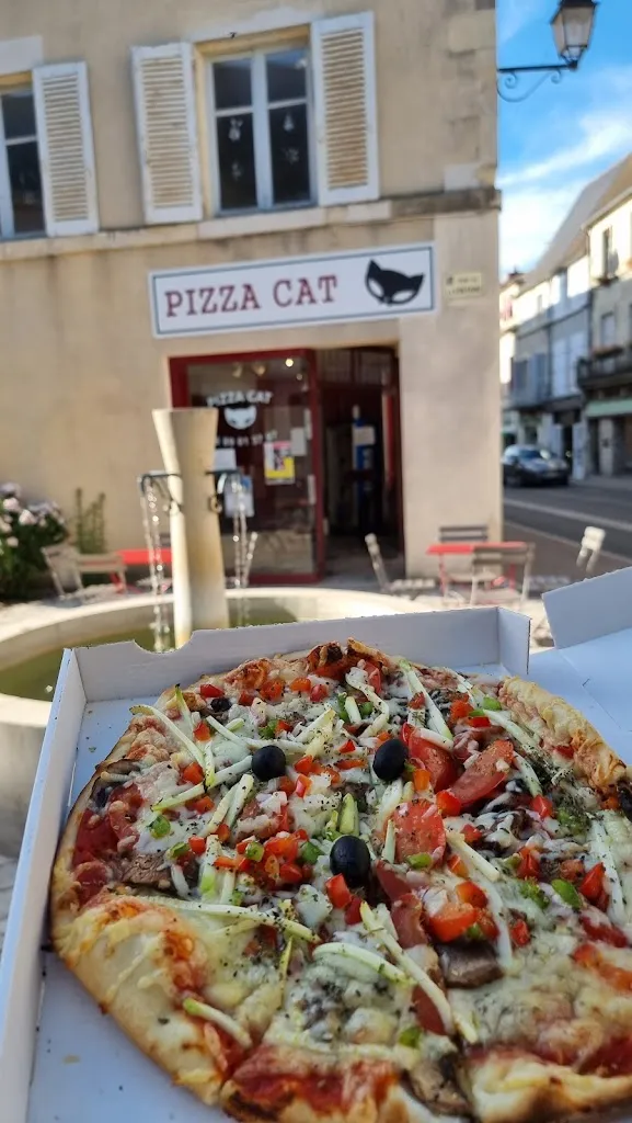 A_Pizza Cat saint pierre le moutier_Saint-Pierre-le-Moûtier_review