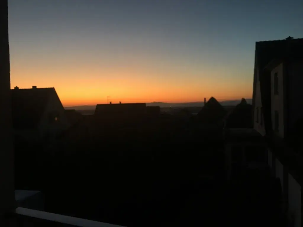 Fedor Malkinson_Aux Ducs de Lorraine_Saint-Hippolyte_review