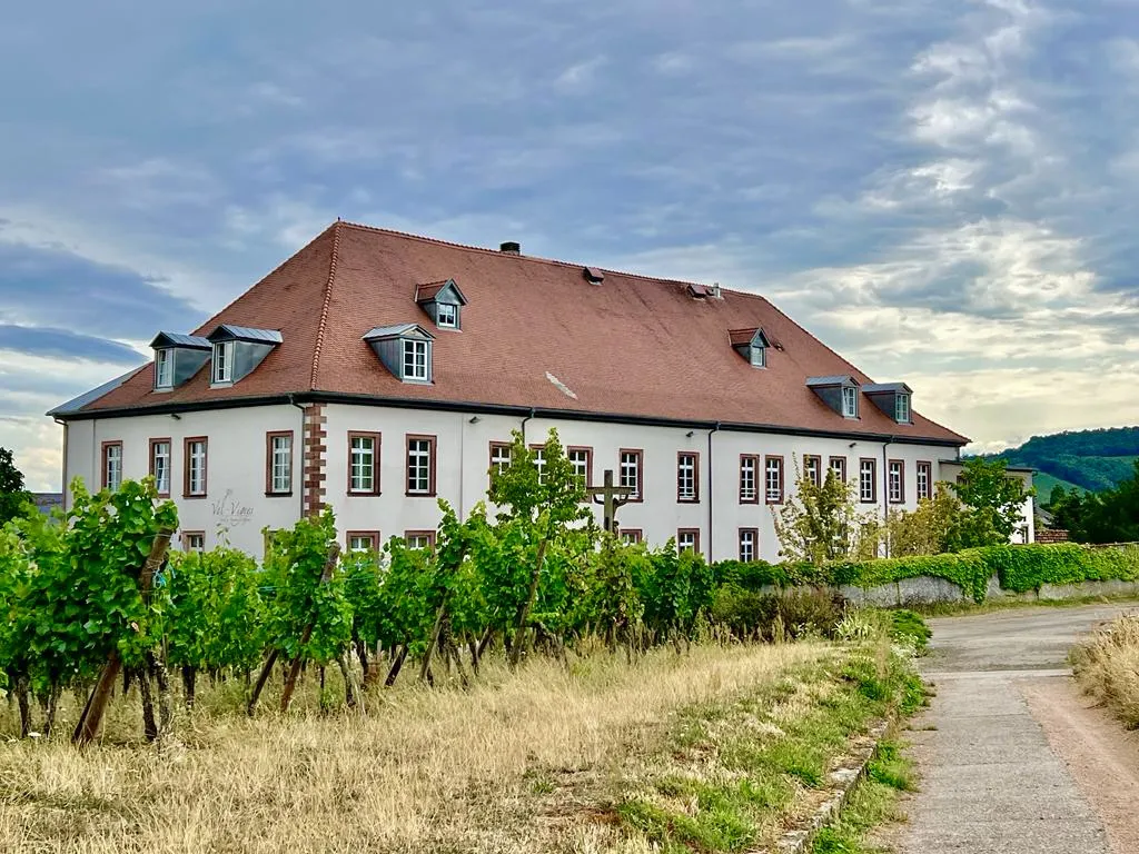 Sharon_Hotel Val-Vignes Colmar Haut-Koenigsbourg, The Originals Relais_Saint-Hippolyte_review