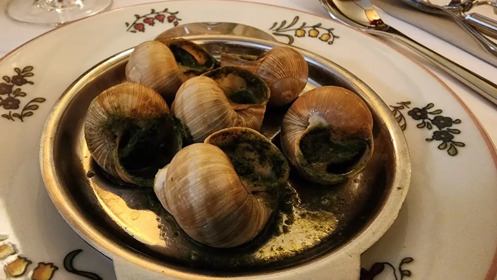 Joseph Raczynski_Hôtel A la Vignette_Saint-Hippolyte_review