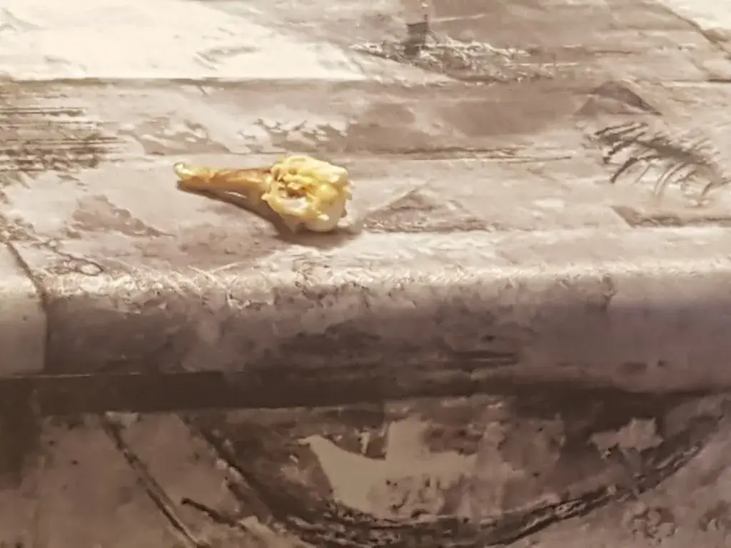 Menu_Chez Maxime_Sancey_image_8