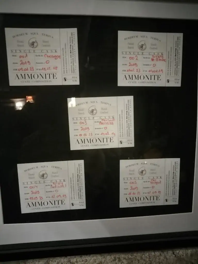 Menu_Ammonite Brewery_Sennecey-le-Grand_immagine_2