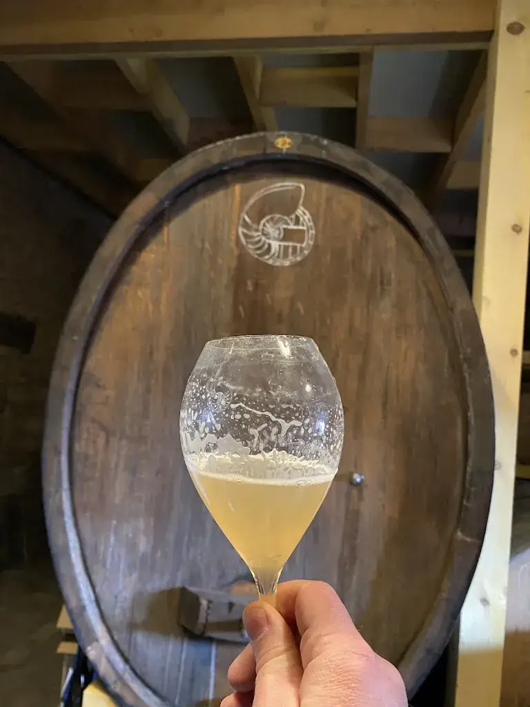 Menu_Ammonite Brewery_Sennecey-le-Grand_immagine_4