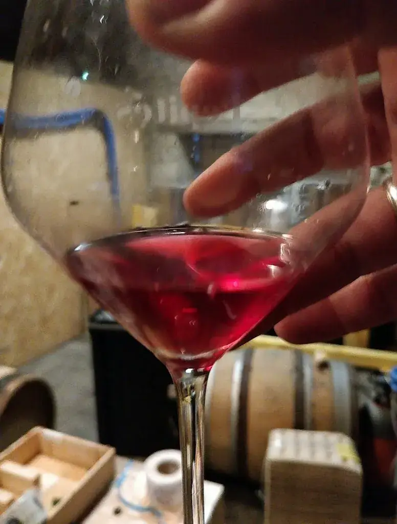 Menu_Ammonite Brewery_Sennecey-le-Grand_immagine_9