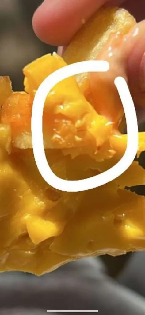 Bonjour Bonjour_la Guinguette de Seurre_Seurre_review