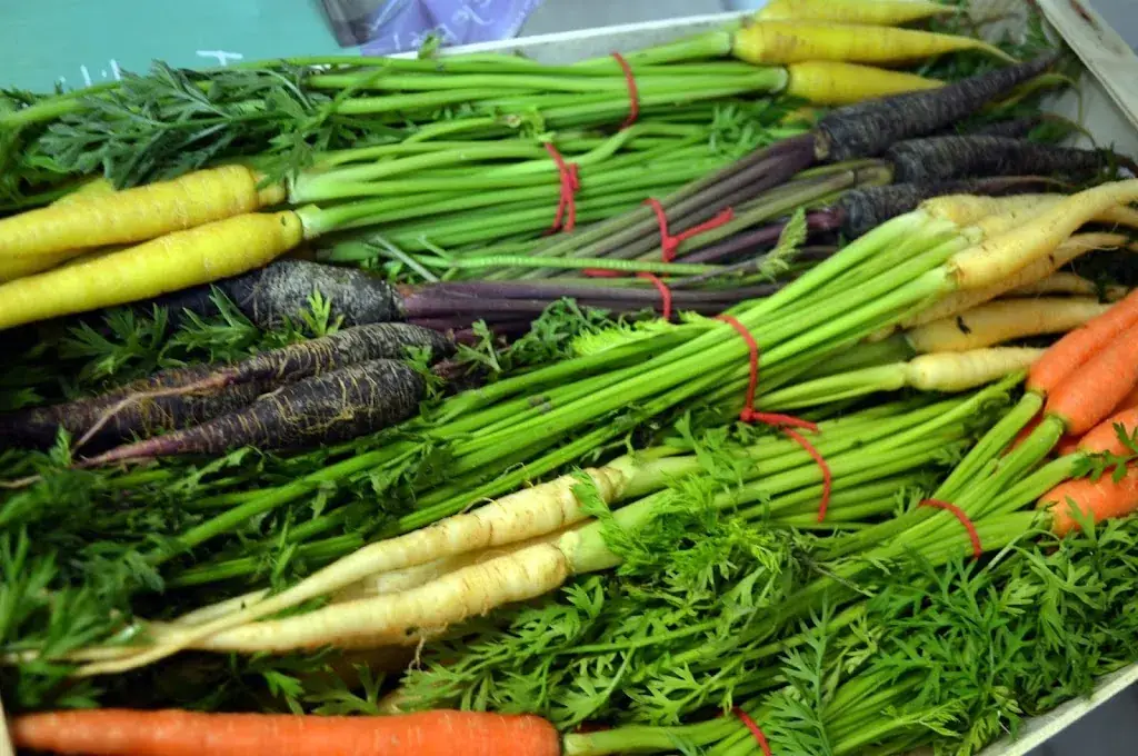 Grand Café Riche_Saint-Rémy-de-Provence_slider_image_2