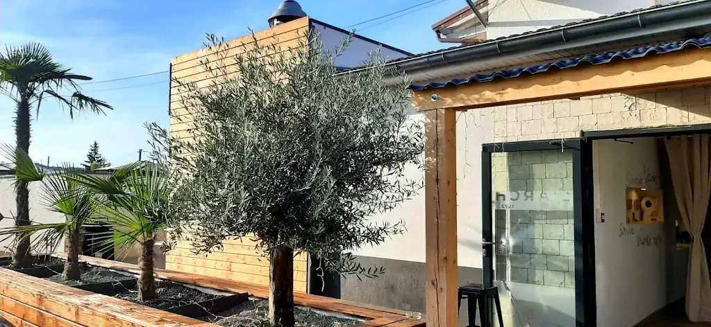 Le voyageur Informateur_l'Arch 1972_Vaivre-et-Montoille_review