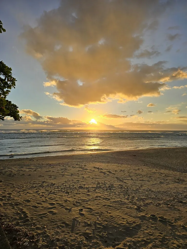 Tobias Wildner_Le Zat_Réunion_review