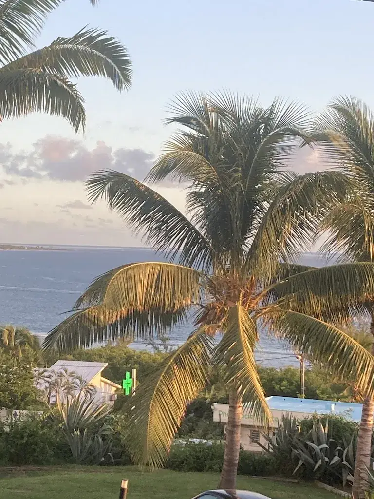 Lolo hsc_Le Kotémer_Réunion_review