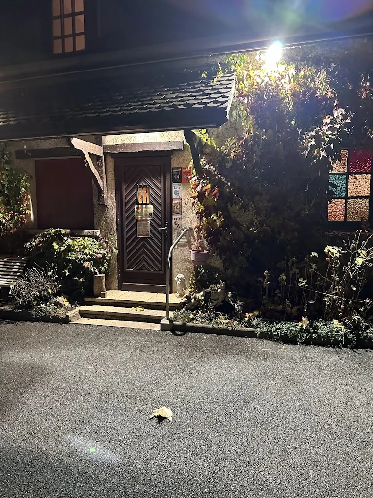 Francois F_Arlequin_Vieux-Charmont_review