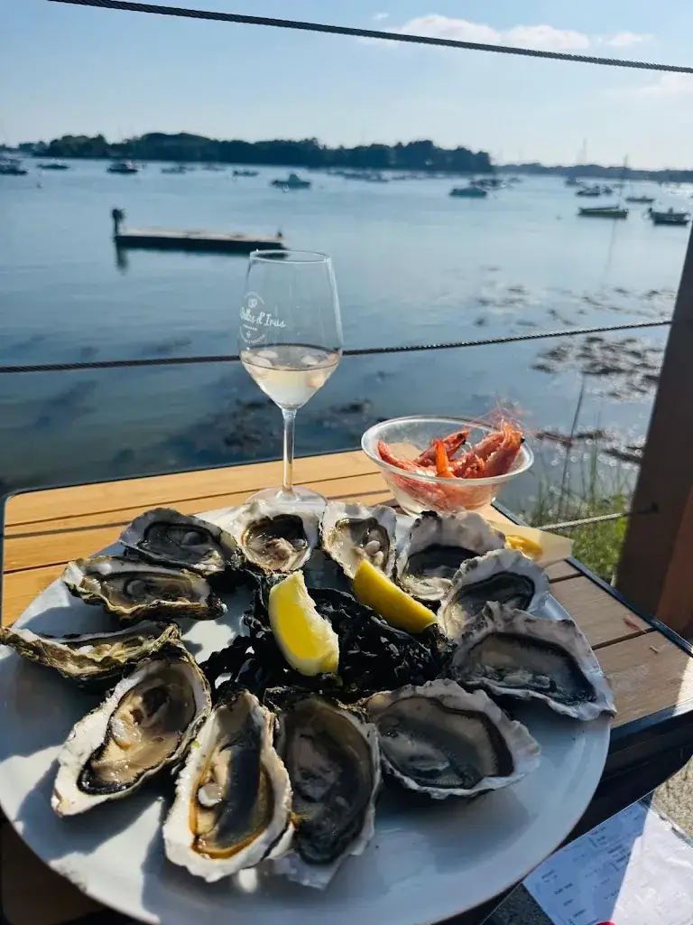 FINN ANDREW_Les Belles d'Irus_Arradon_review