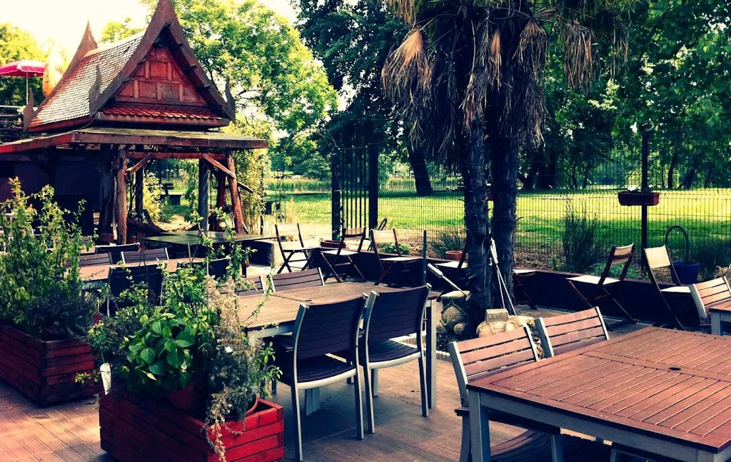 Konfusius_Torcy_slider_image_1