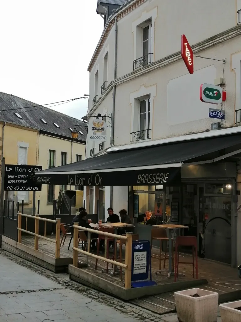 Le Lion D'Or_Bais_slider_image_2