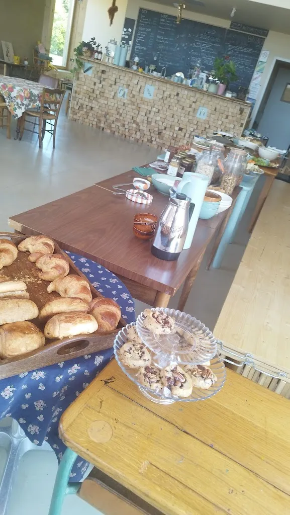 Delphine Romera_Café des Eaux Sauvages_Bilieu_review