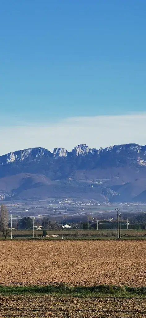 Figase Figase_Le Maxime's_Alixan_review