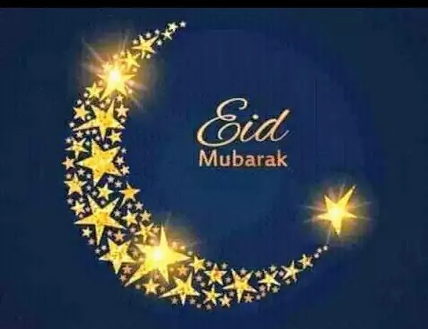 Safi Mohammed_Restaurant La Grenouillère_Vitré_review