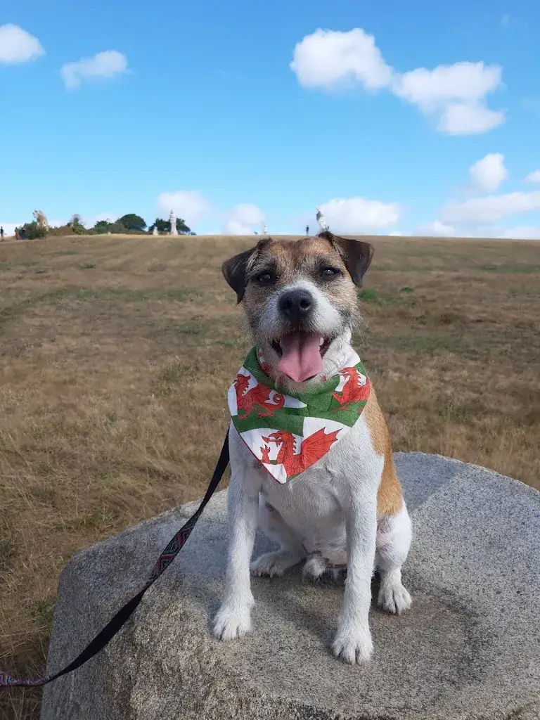 Caio The Cymro Evans_Restaurant Le Bistrot des Halles_Auray_review