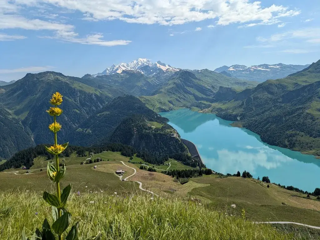 Shaked Keynan_Restaurant La Marie Rose_Beaufort_review