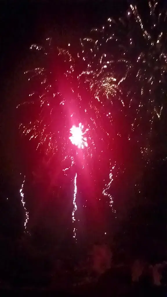 Philippe L_Le Safran - Miramar La Cigale_Arzon_recensione