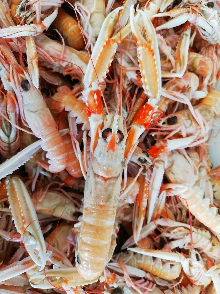 Menu_Well-Wazh_Plouhinec_image_9