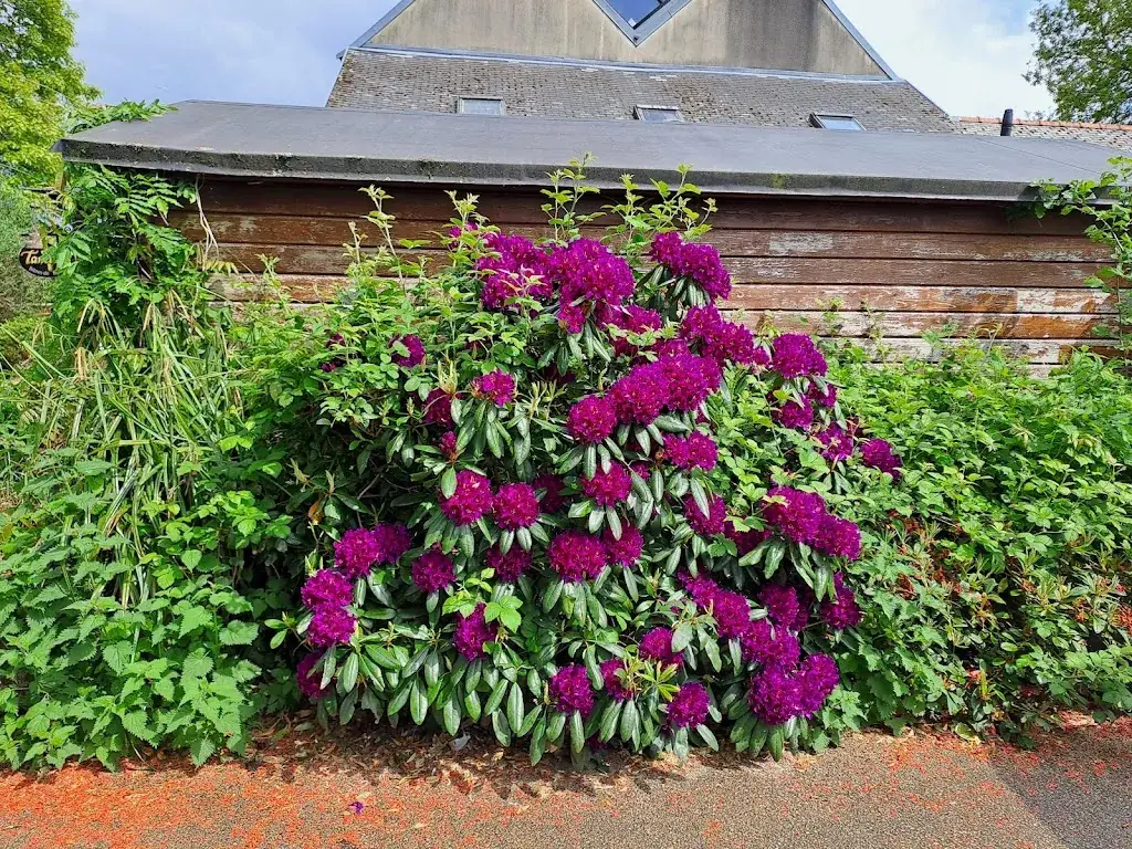 Marc Luguel_Le Youdig_Brennilis_review