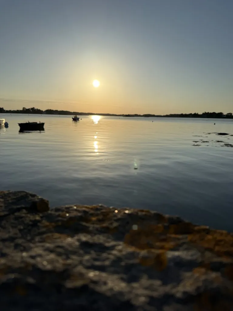 Olivier Gachot_Les Algues Marines_Belz_review