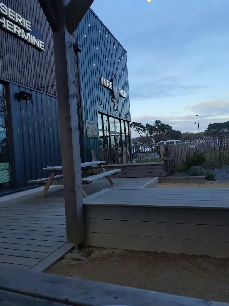 Alexandre Ortolan_IVRE MER_Belz_review