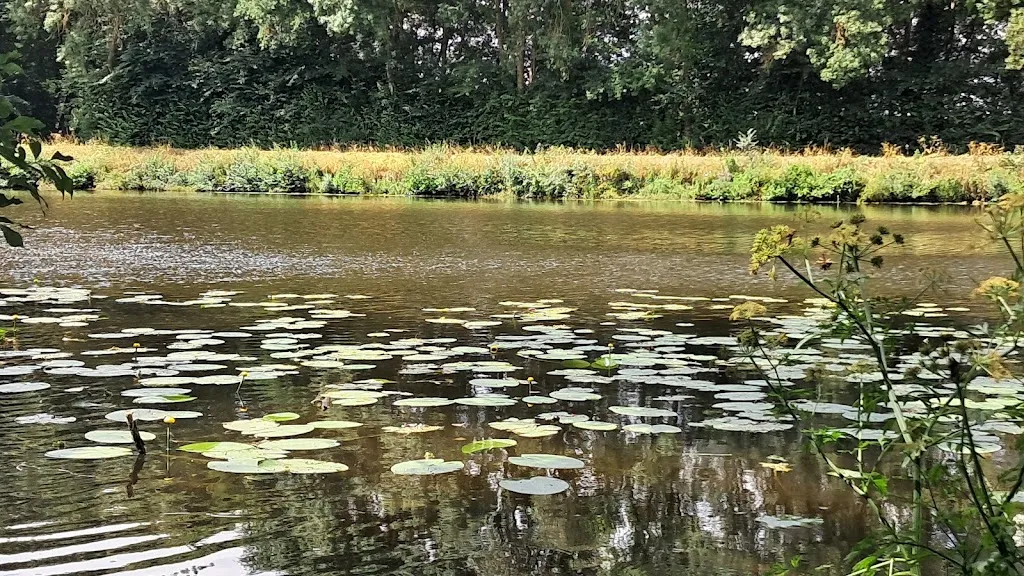 Laura Polrabi_Guinguette L’hameçon_Bains-sur-Oust_review