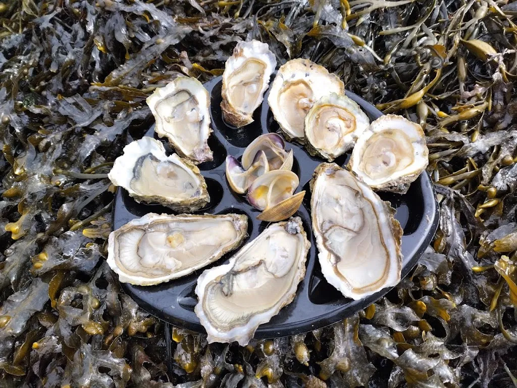 Menu_La Cabane de Cadoudal - Dégustation huitres au bord de la Ria d' Etel & vente directe_Locoal-Mendon_image_8