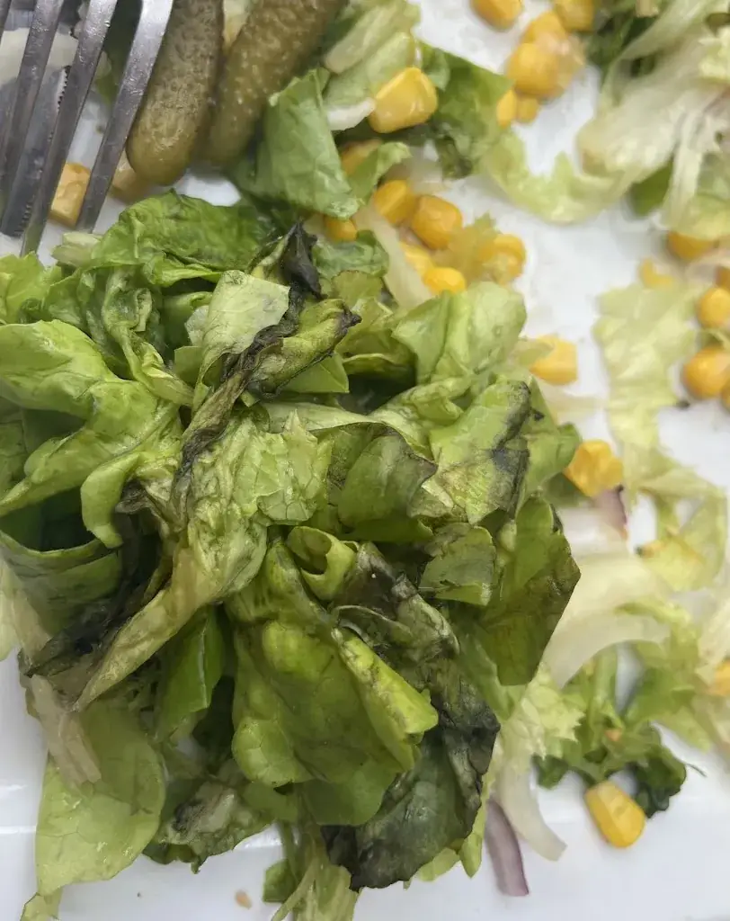 Franck_Le Tabayon_Bellevaux_recensione