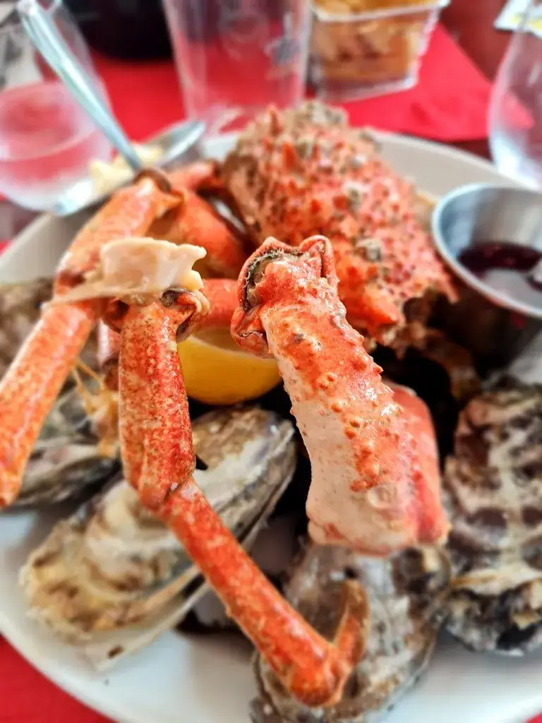 Charlene Elliott_Le Transat_Bénodet_review