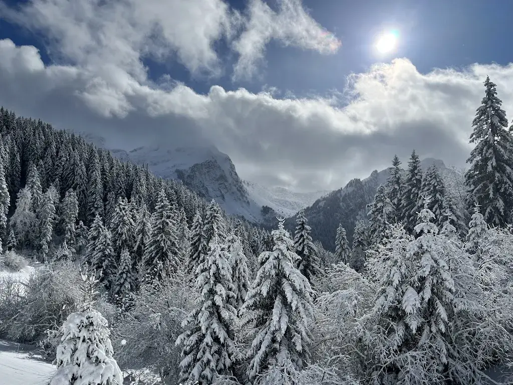 James Hope_L'embuscade_Bellevaux_review