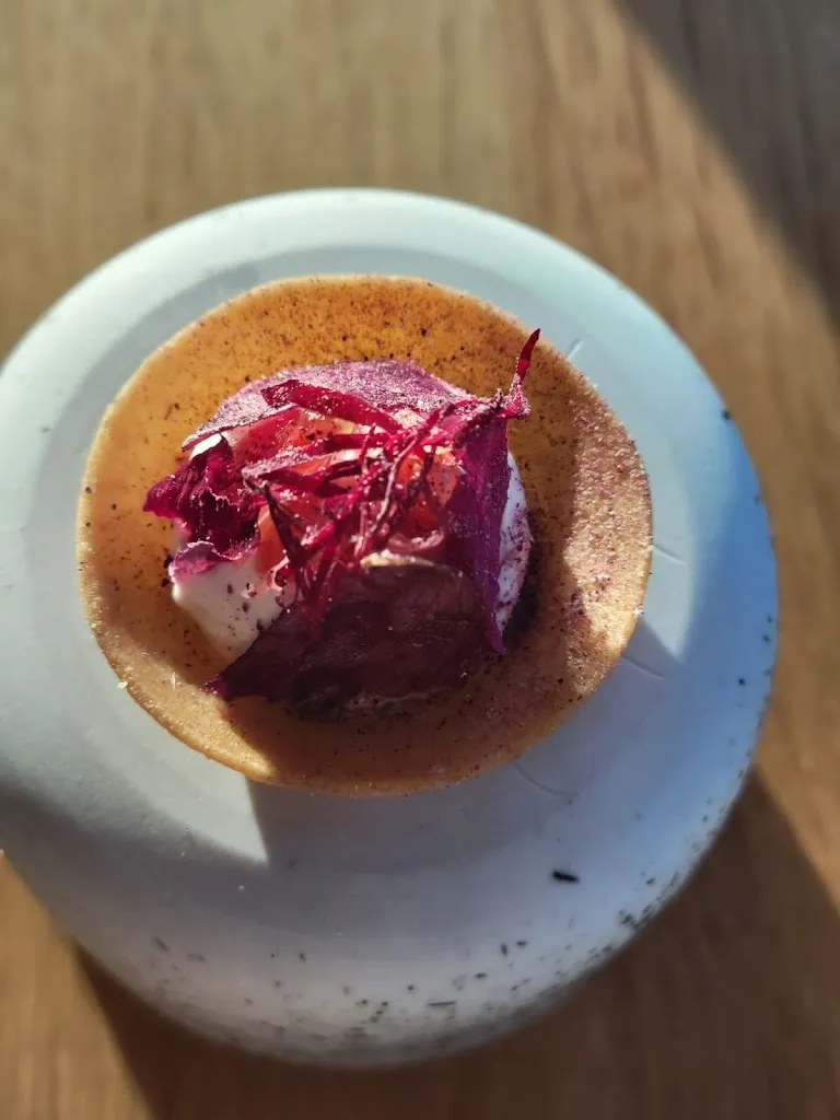 Paul Le Lyon_Restaurant La Table des Pères_Piré-Chancé_review