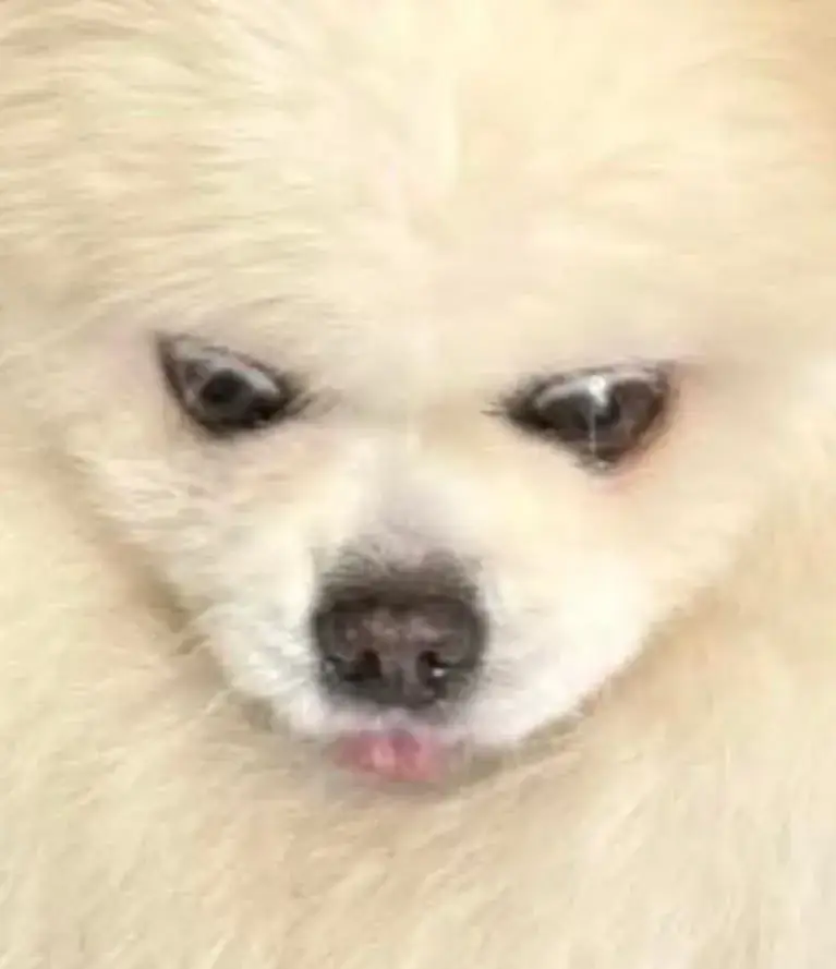 Benjamin Bouvier_Bar Le Trégor_Betton_review