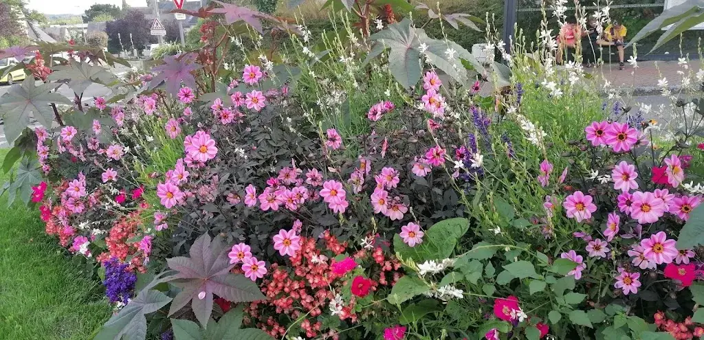 Bar Le Trégor_Betton_slider_image_3